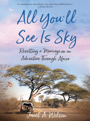 cover image of All You'll See Is Sky